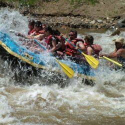 Rafting Wallpapers for Android