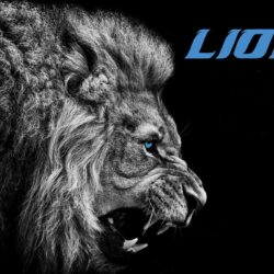 Free Detroit Lions Wallpapers for desktop and mobile