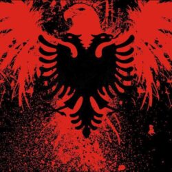 Albanian Eagle Shrook Wallpapers Free Download