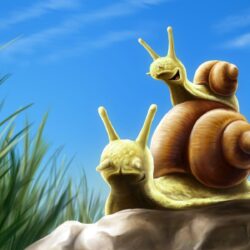 snails artwork wallpapers High Quality Wallpapers,High