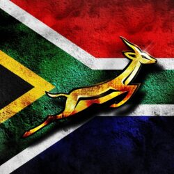 South african Rugby flag : Desktop and mobile wallpapers : Wallippo