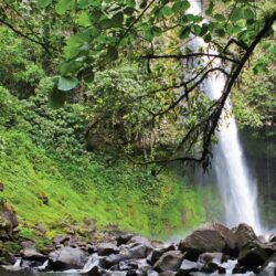 Natural Highlights of Costa Rica in Costa Rica, Central America