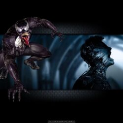 spiderman 3 venom wallpapers