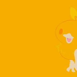 Torchic Full HD Wallpapers and Backgrounds Image