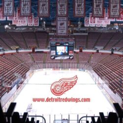 Detroit Red Wings image