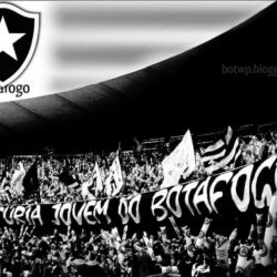 Botafogo Ter A Feira Agosto Pm