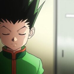Gon Freecss 17 Wide Wallpapers