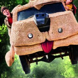 Dumb And Dumber To 2014 Hd Wallpapers