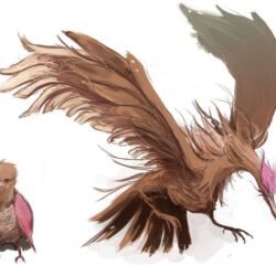 Spearow