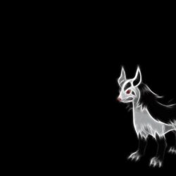 Mightyena Wallpapers by Phase