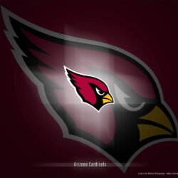 1000+ image about Arizona Cardinals