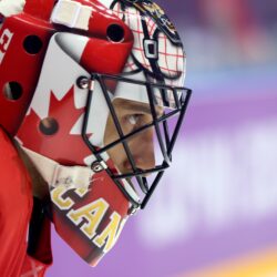 Roberto Luongo, hockey, mask, eyes