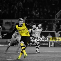 Marco Reus Wallpapers, Magnificent HDQ Live Marco Reus Pics