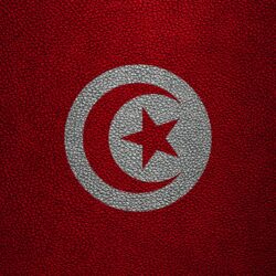 Download wallpapers Flag of Tunisia, Africa, 4k, leather texture