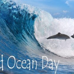 World Ocean Day Blue Backgrounds Wallpapers
