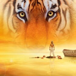 Life of Pi Movie Wallpapers