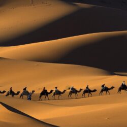 Sahara Desert Wallpapers