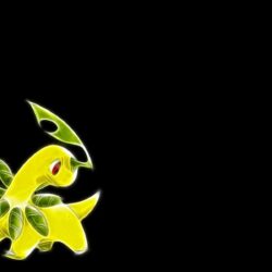 Games: Bayleef Pokemon Full HD Wallpapers for HD 16:9