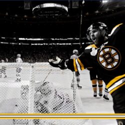 Boston Bruins Wallpapers