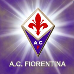 Fiorentina Football Wallpapers, Backgrounds and Picture
