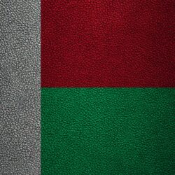 Download wallpapers Flag of Madagascar, 4k, leather texture, Africa