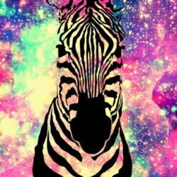 Zebra Galaxy Wallpapers