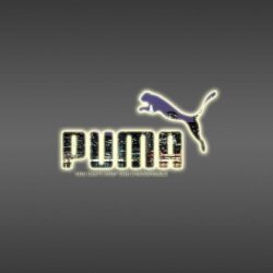 Logo Puma Wallpapers 2014 HD