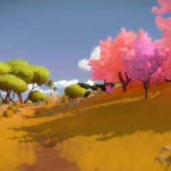 The Witness Review