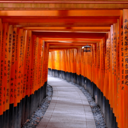 Fushimi Inari Shrine or Fushimi Inari Taisha, a Shinto shrine in