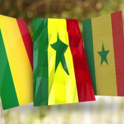 Senegal Flag Wallpapers for Android