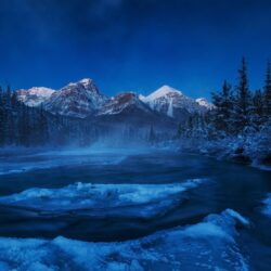 firs, winter, landscape, snow, river, Canada :: Wallpapers