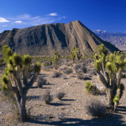 Nevada Wallpapers, Top Beautiful Nevada Image, 26