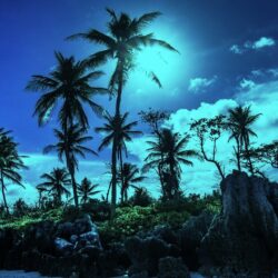 Sky Paradisiac Palms Shadows Tropical Beach Nauru Moonlights Night