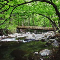 Bridge Over Creek Along Greenbrier, Great Smoky Mountains National