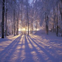 Winter Solstice Pictures