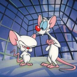 px 251.52 KB Pinky And The Brain