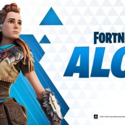 Celebrate Aloy’s Fortnite Arrival with 40% Off the Horizon Zero Dawn Complete Edition for PC!
