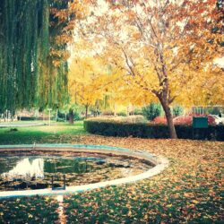 Iran, Kermanshah, Fall, Trees, Nature Wallpapers HD / Desktop and
