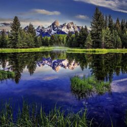 Free Forest Lake Park Landscape Reflection Wyoming