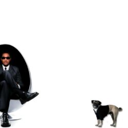 Download Wallpapers white dog actor will smith men in black 2 ii