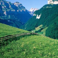 HD Wonderful Swiss Alps Meadow Wallpapers
