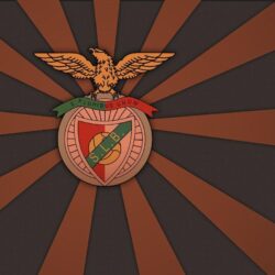 trololo blogg: Wallpapers Benfica Free
