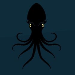 Octopus iPhone Wallpapers