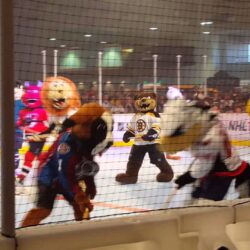 2016 NHL Mascot Competition