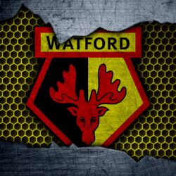 Download wallpapers Watford FC, 4k, football, Premier League