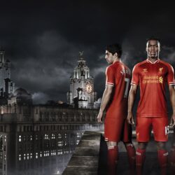 Liverpool FC Daniel Sturridge Luis Suarez Steven Gerrard, HD Sports