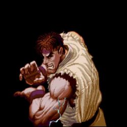 Download Street Fighter 2 Wallpapers 72+ pictuers)