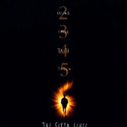 The Sixth Sense review