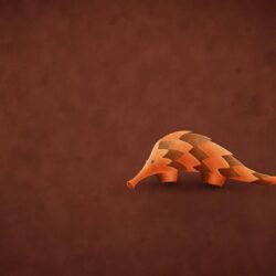 Orange armadillo illustration, Ubuntu HD wallpapers