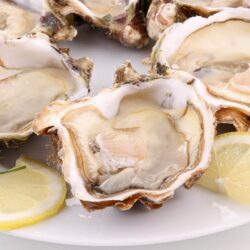 Download wallpapers oysters, clams, dish, lemon